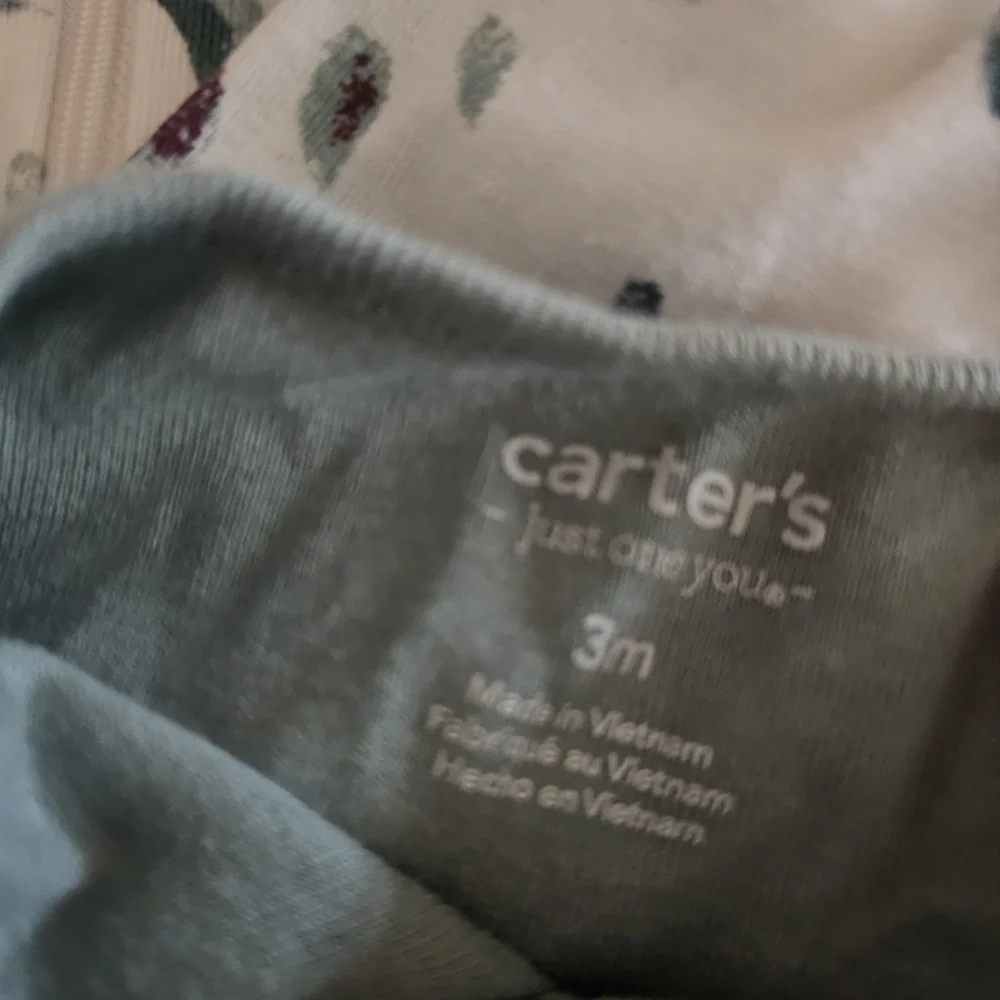 Dinosaur Print Baby Onesies Pair